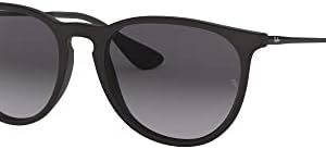 Ray-Ban Rb4171 Erika Round Sunglasses